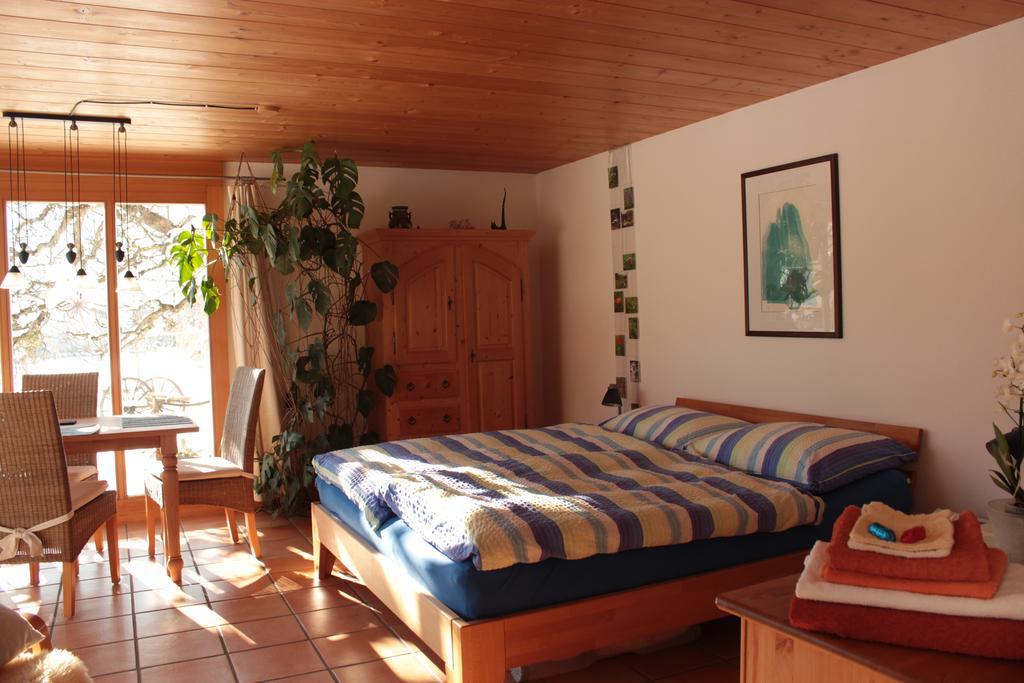 マイリンゲン Dunkel Blaue Maus Bed & Breakfast エクステリア 写真